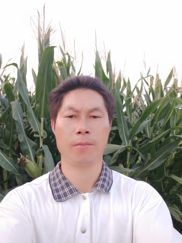 四海游龙的第二张照片--武平交友网