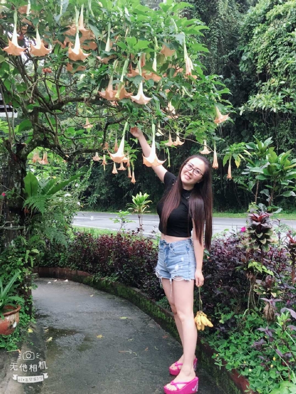 离异单身无子的第二张照片--武平交友网