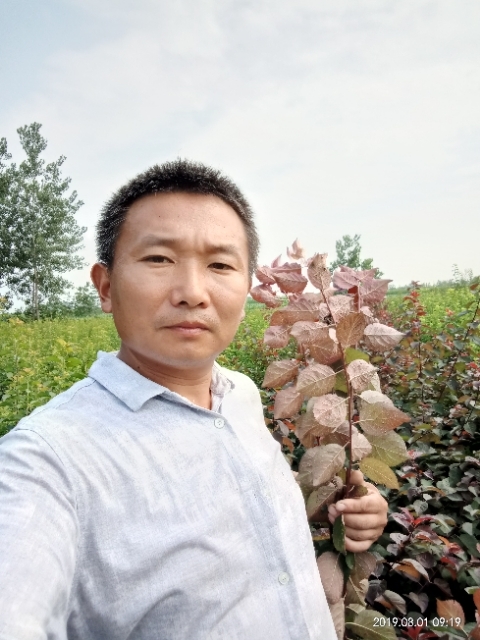 孩子爸的第一张照片--武平交友网