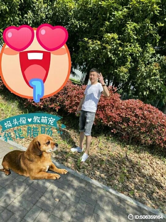 我若不坚强谁替我勇敢的第五张照片--武平交友网