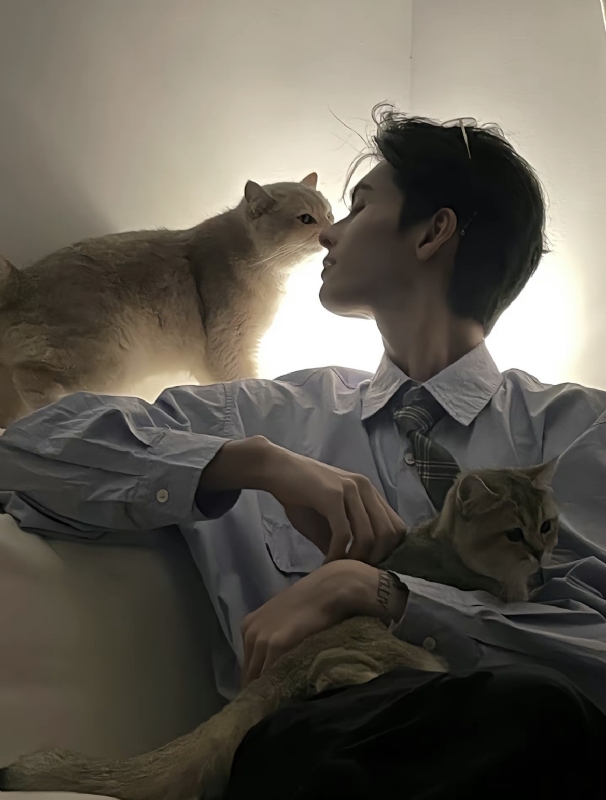 怪猫的第一张照片--武平交友网