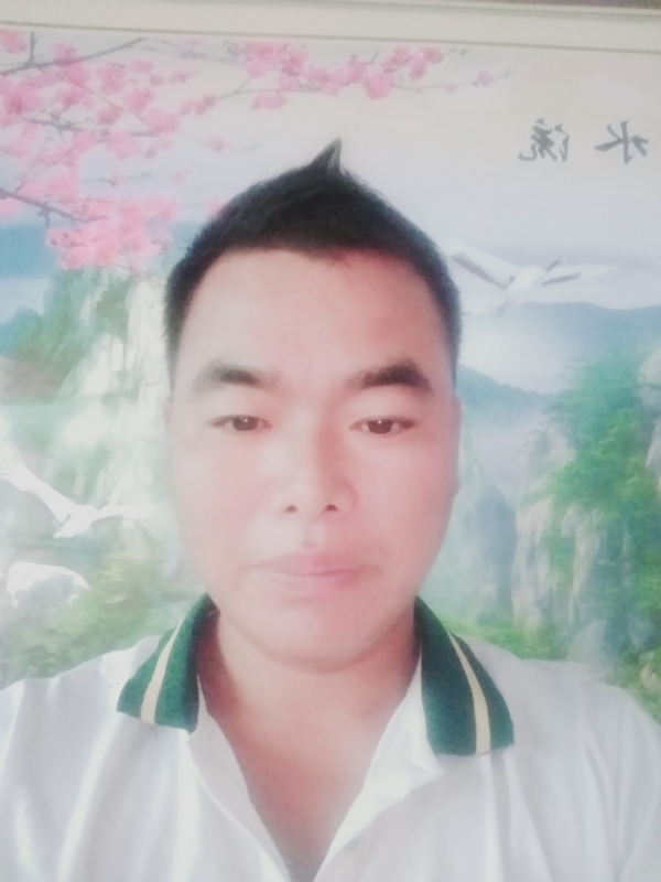 阳光男孩的第二张照片--武平交友网