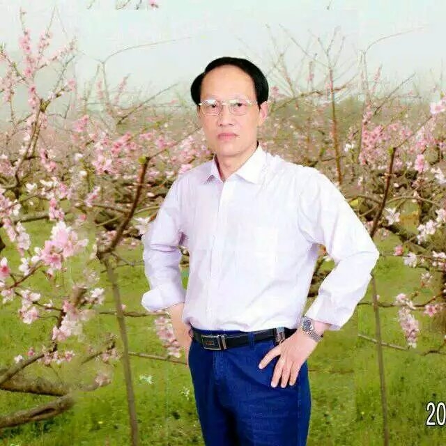 枫叶的第一张照片--武平交友网
